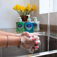 Thumbnail for Carex Aloe Vera Antibacterial Liquid Hand Wash (Pump) - 250ml - sassydeals.co.uk