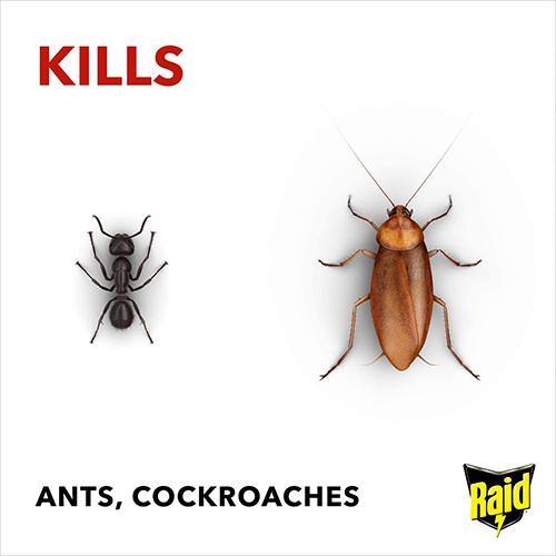 Raid Ant, Cockroach & Crawling Insect Killer - 300ml - sassydeals.co.uk